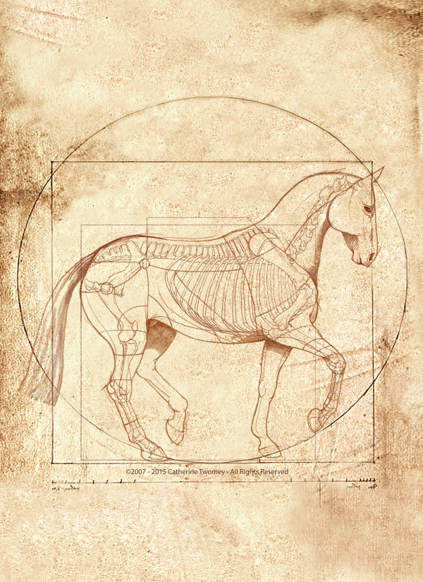 Da Vinci Horse: The Piaffe Revealed