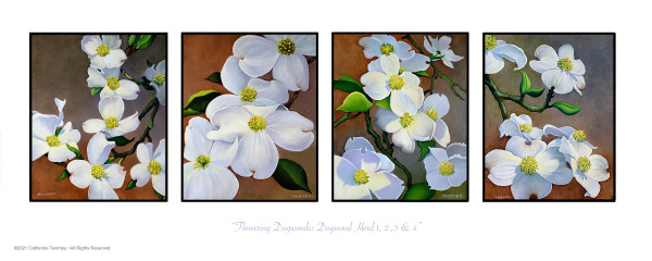 Flowering Dogwoods: Dogwood Herd # 1, 2, 3 & 4 by Catherine Twomey