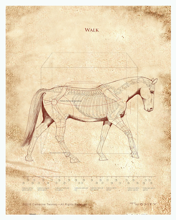 Da Vinci Horse: The Walk Revealed Limited Edition 16 X 20" by Catherine Twomey, Image 1.