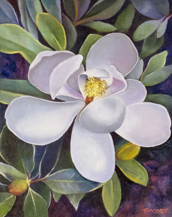 Magnolia: Bobby's Tree, 8 X 10", edition image.
