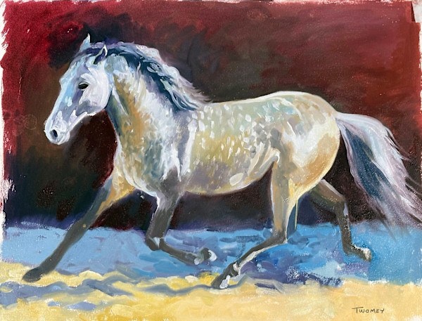 Weathervane Stallion, 12 X 16", edition image.