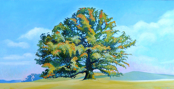 Thomas Jefferson's White Oak Tree, 8 X 10", edition image.