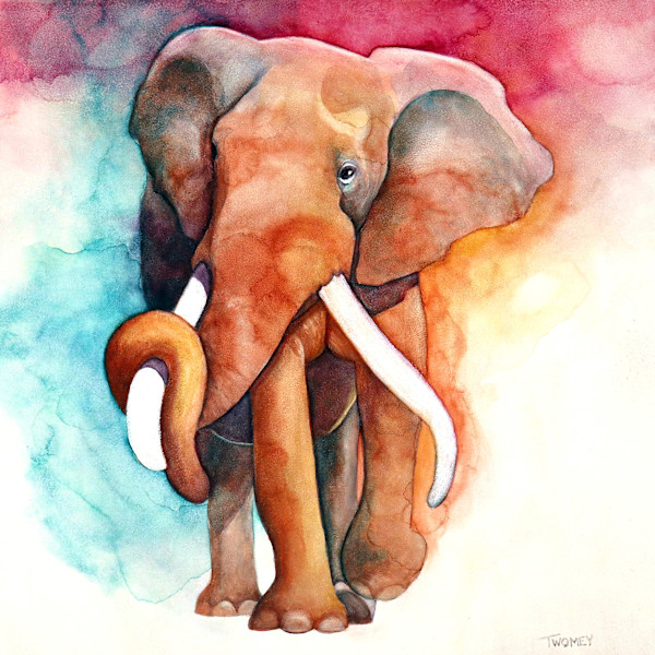 Bull Elephant Walk by Catherine Twomey, Image 1.