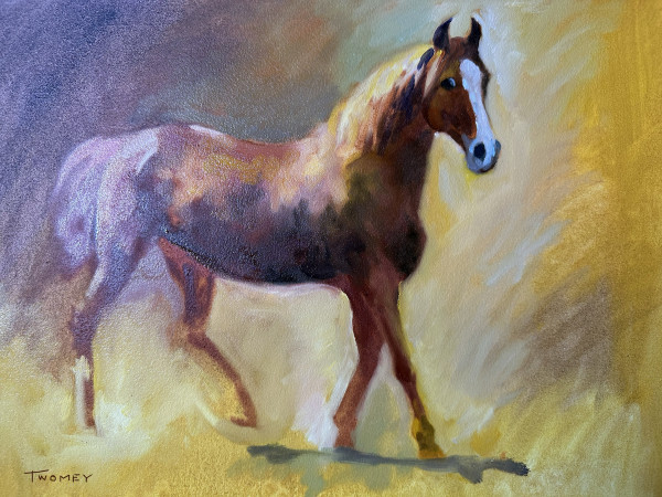 Lusitano Curiosity by Catherine Twomey, Image 1.