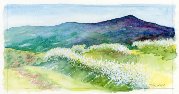 Orchard Pass by Catherine Twomey