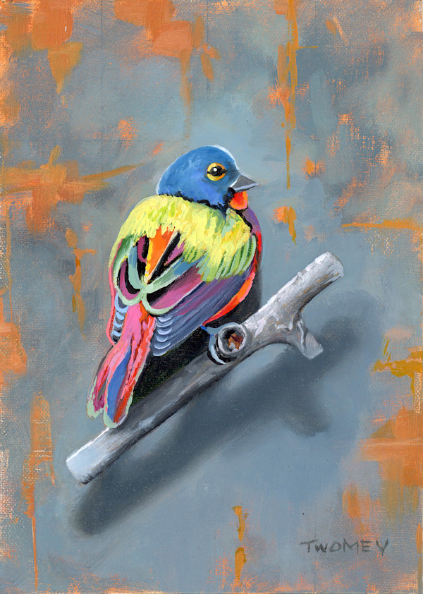 Painted Bunting by Catherine Twomey, Image 2.