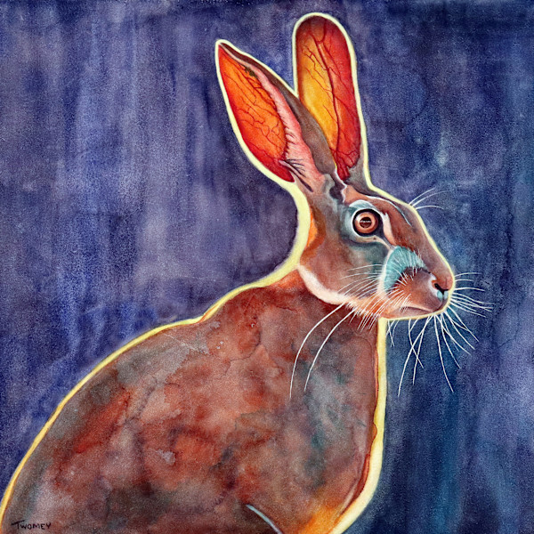 African Jack Rabbit by Catherine Twomey, Image 1.