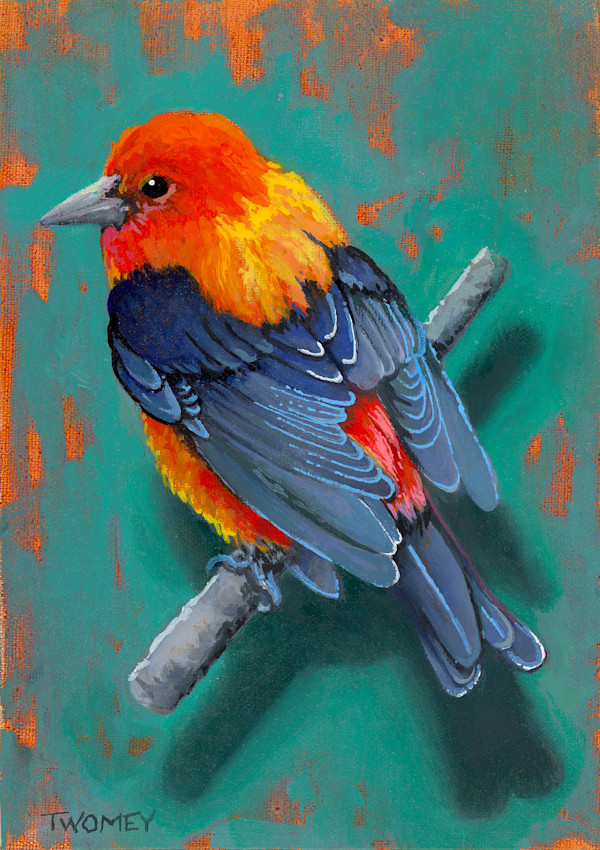 Scarlet Tanager by Catherine Twomey, Image 1.