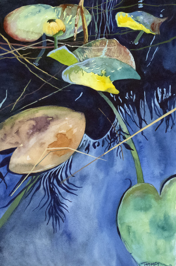 Waterlilies of Biltmore by Catherine Twomey