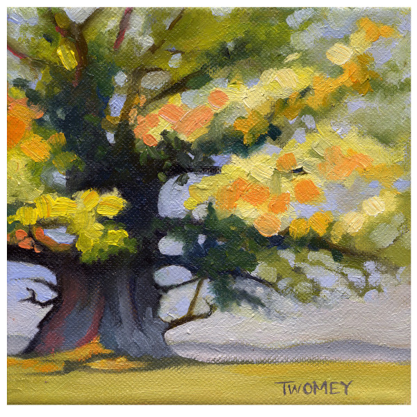 Earlysville White Oak by Catherine Twomey