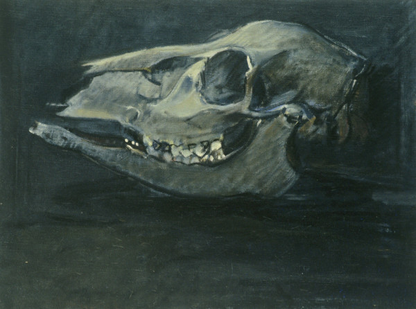 DEER SKULL #28 by Kenneth Showell