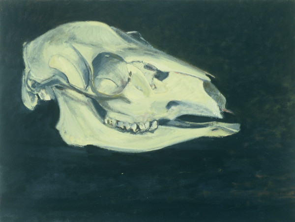 DEER SKULL #15 by Kenneth Showell