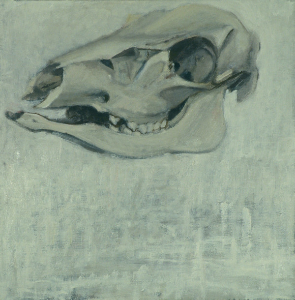 DEER SKULL #24 by Kenneth Showell