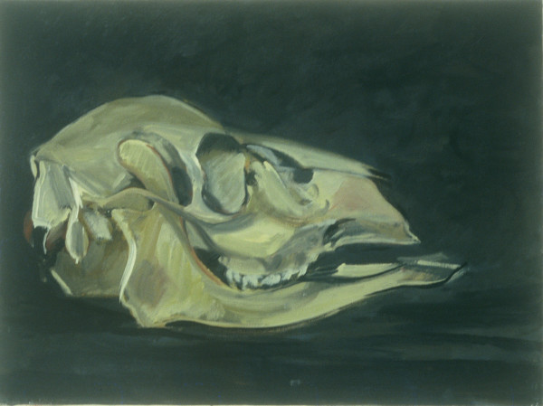 DEER SKULL #6 by Kenneth Showell