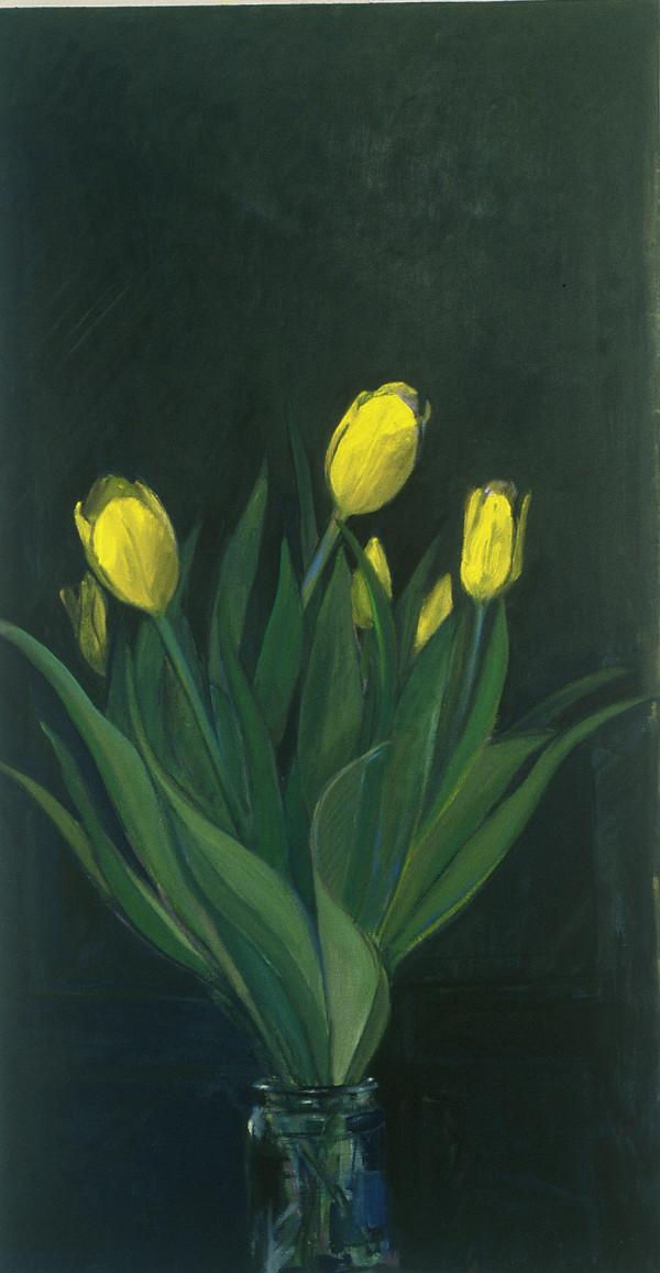 TULIPS I by Kenneth Showell