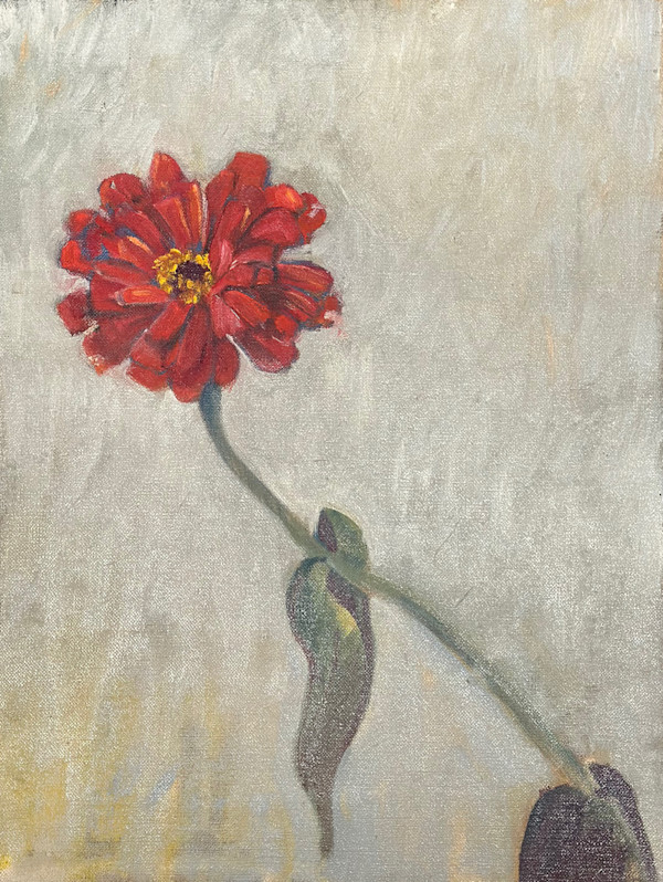 Red Zinnia by Kenneth Showell