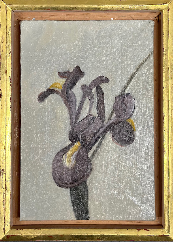 Iris #3 by Kenneth Showell