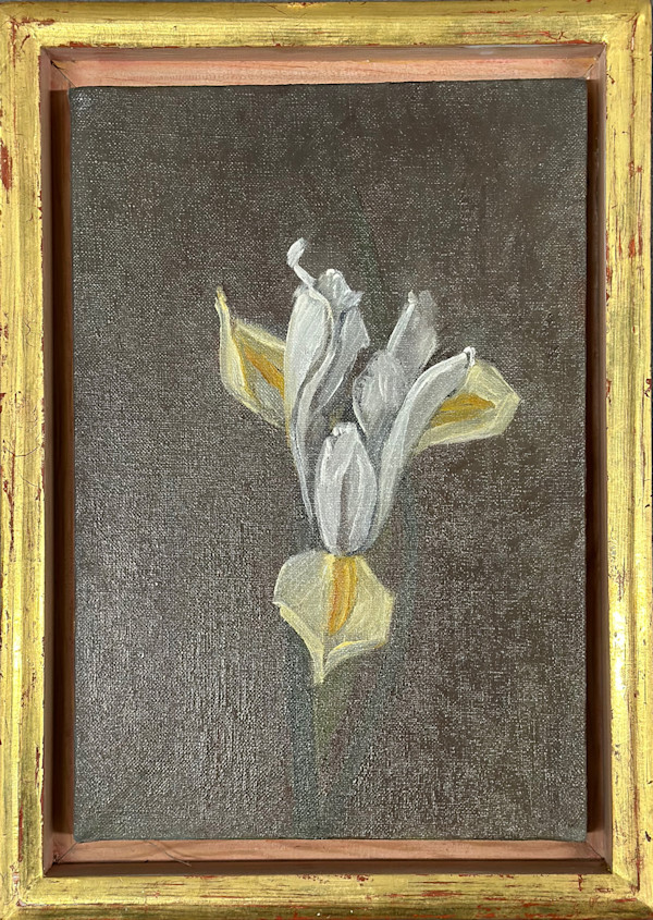 Iris #4 by Kenneth Showell
