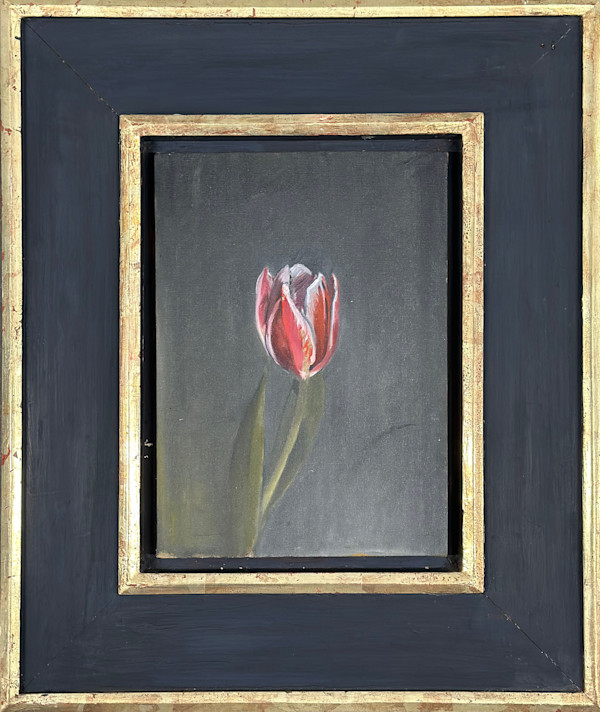 Red Stem Tulip by Kenneth Showell