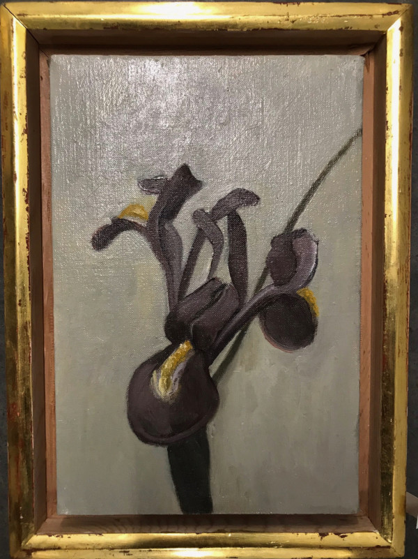 IRIS BLACK by Kenneth Showell