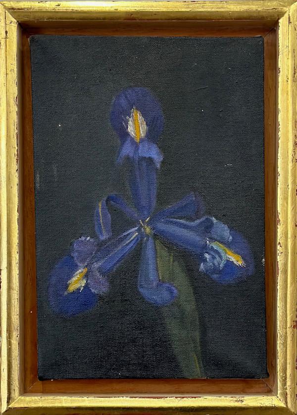 Iris #1 by Kenneth Showell
