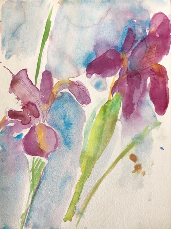 Irises by Kenneth Showell