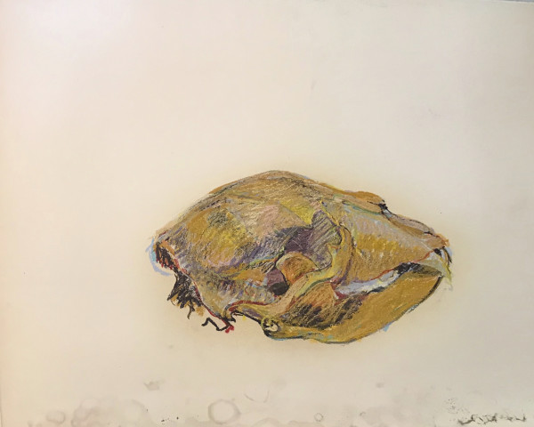 Pastel skull by Kenneth Showell