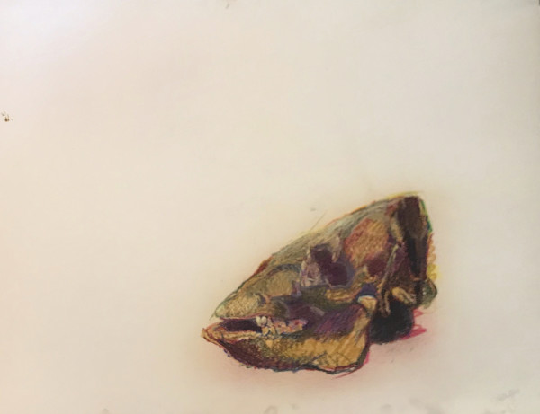 Pastel skull signed and dated 1980 by Kenneth Showell