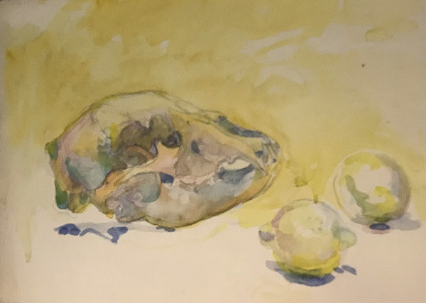 Watercolor skull by Kenneth Showell
