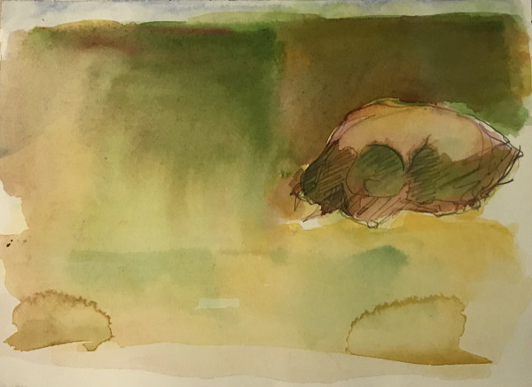 Watercolor Skull by Kenneth Showell