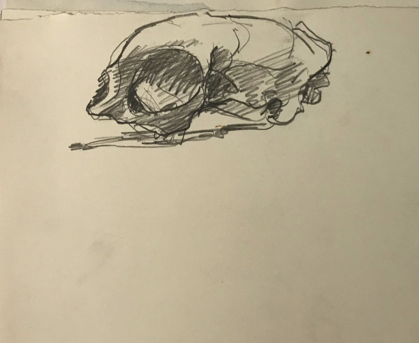 Pencil Skull by Kenneth Showell