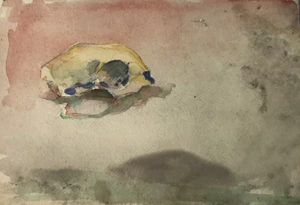 Watercolor Skull by Kenneth Showell
