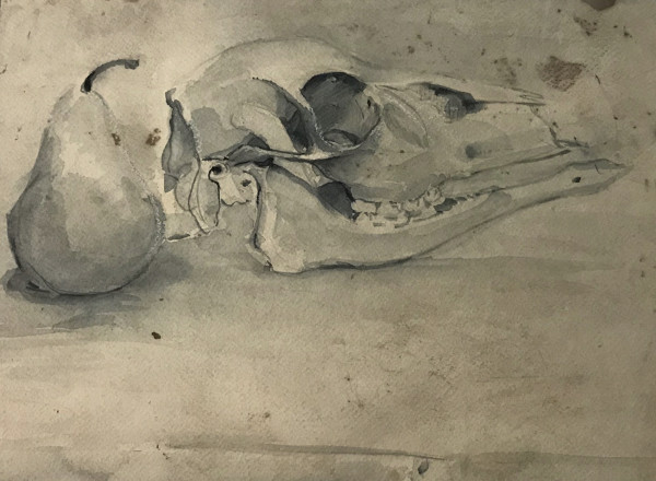 Watercolor Skull by Kenneth Showell