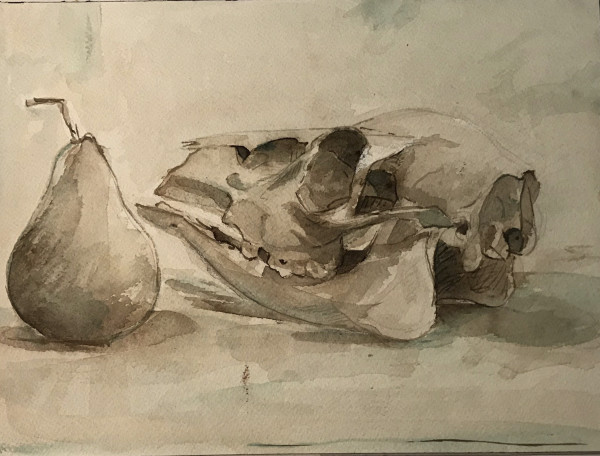 Skull and Pear 1 by Kenneth Showell