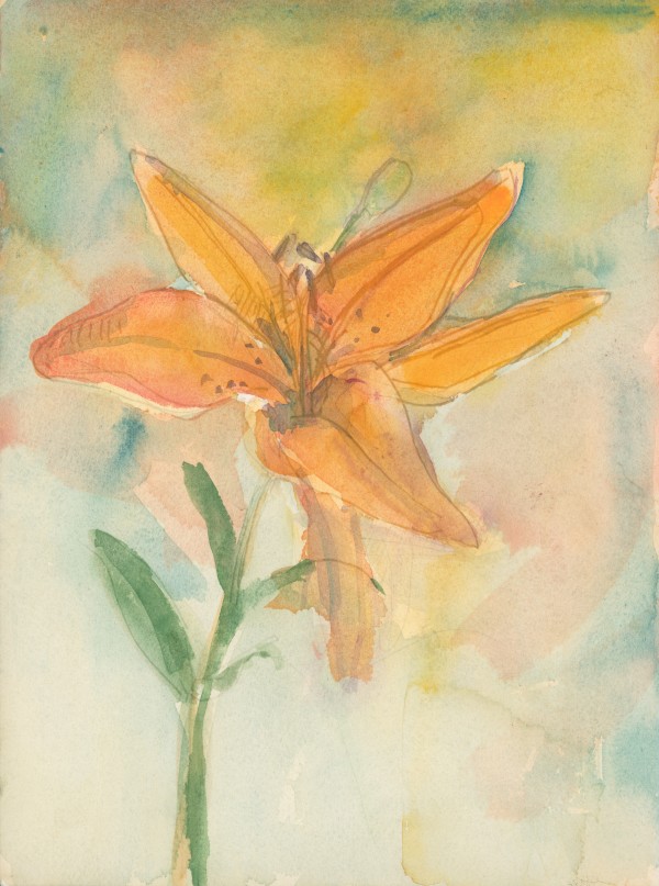 Yellow Tiger Lily by Kenneth Showell
