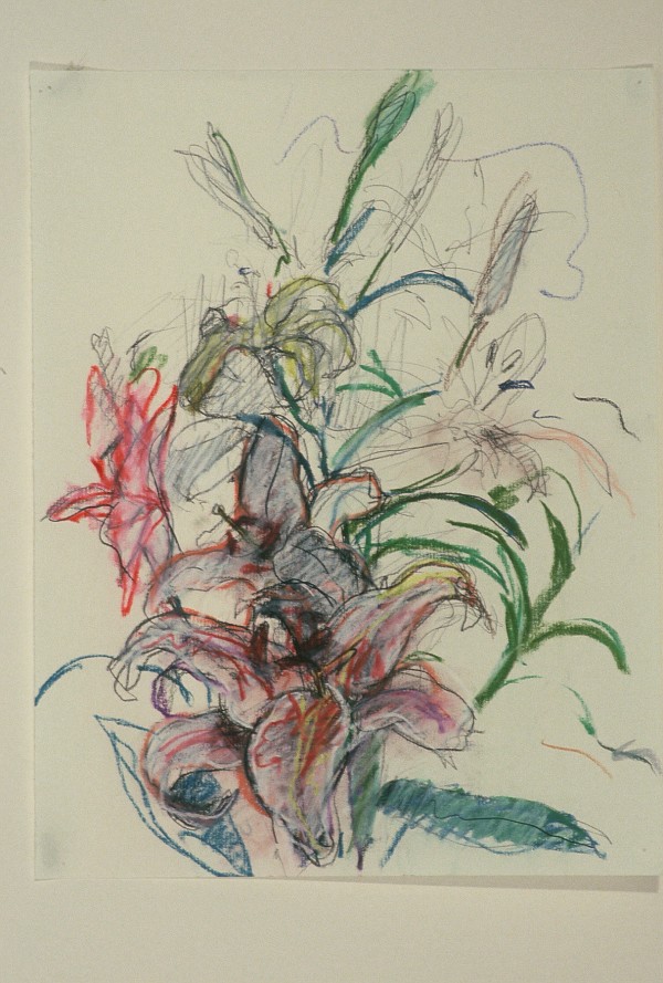 LILIES I by Kenneth Showell