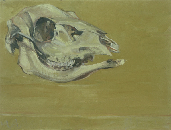 DEER SKULL #20 by Kenneth Showell