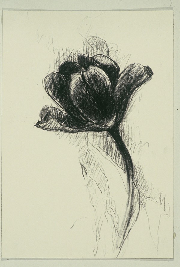 TULIP X by Kenneth Showell