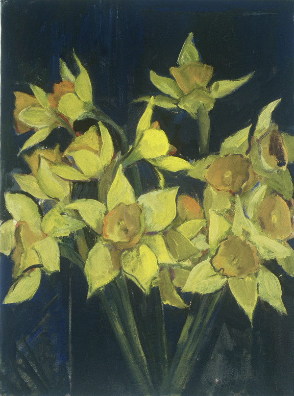 DAFFODILS #3 by Kenneth Showell