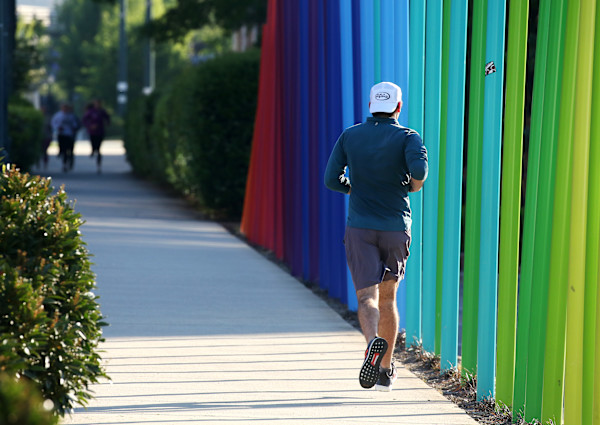 Color Forest by Ivan Toth Depeña