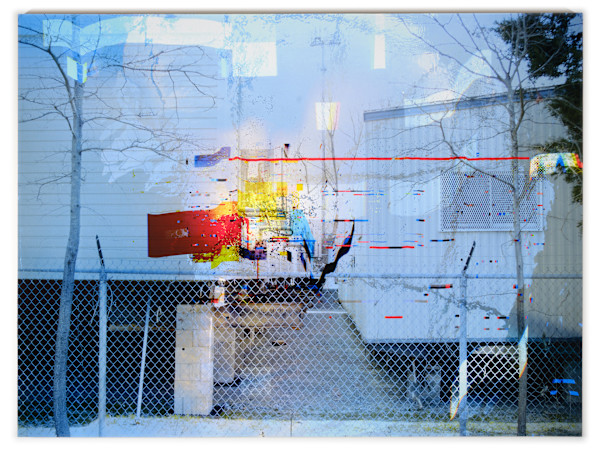 Untitled (Scaleybark) by Ivan Toth Depeña