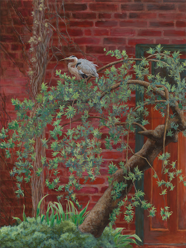Visitor by Katherine Cox Knapp