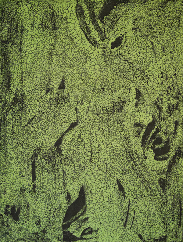 Green Marsh, 2/6 by Margaret E. Murray, Image 1.