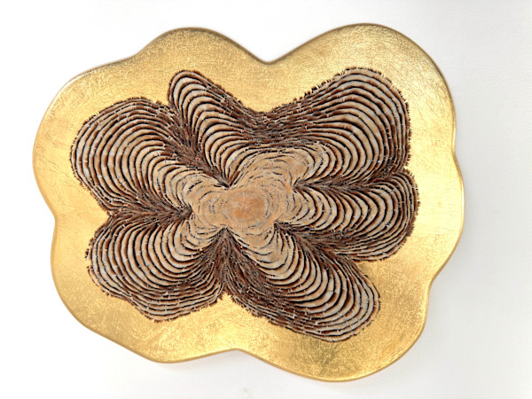 Growth Rings IV