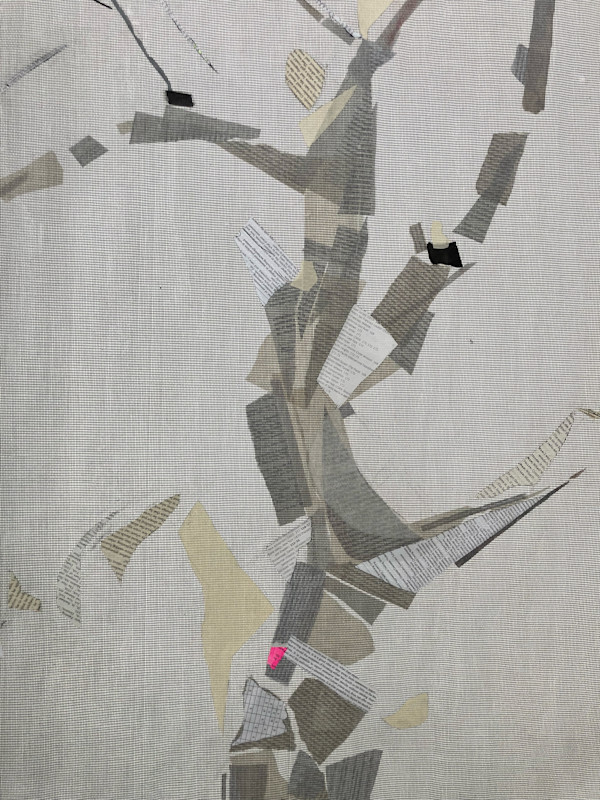 Extreme Focusing (1) by Ella Noe, Image 1.