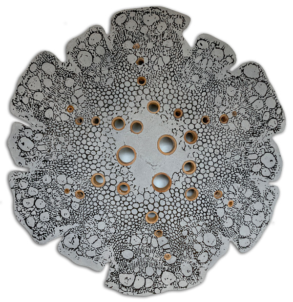 Klematis II by Vero Reato, Image 1.