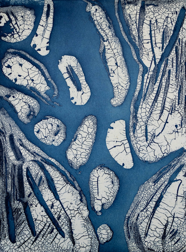 Arctic Floe, 2/4 by Margaret E. Murray, Image 1.