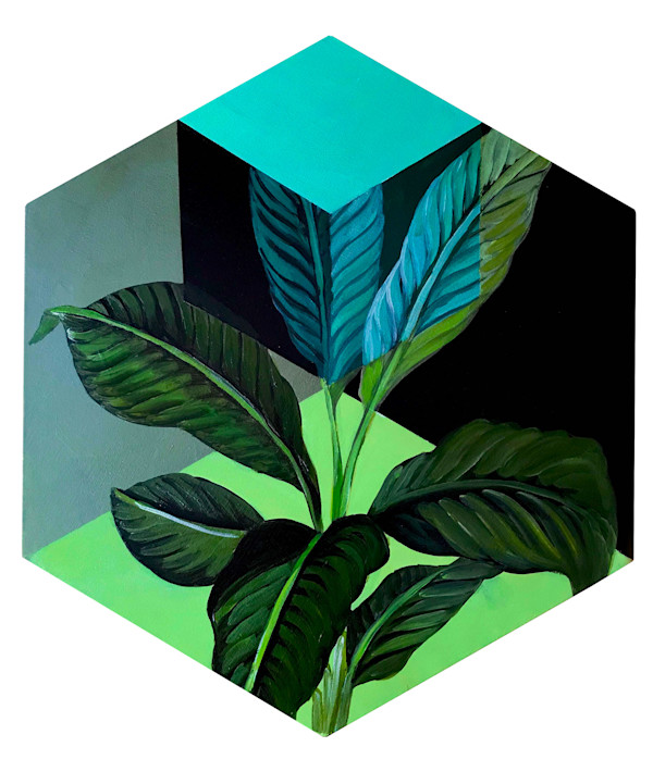 Pot III by Magaly Sánchez, Image 1.