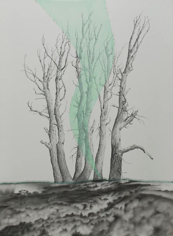 Uprooted by Arminée Chahbazian, Image 1.