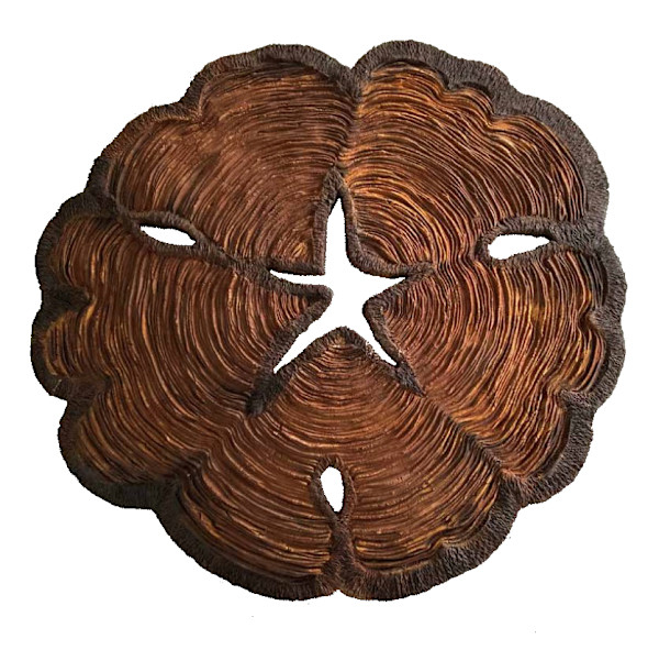 Duramen by Vero Reato, Image 2.